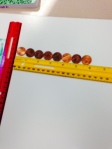 How many pennies fit on a 6 inch edge of the base